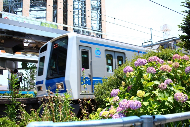 【大泉学園一棟RCアパート】不動産AIが解説！築31年RC・利回り5.19%の収益性を徹底分析